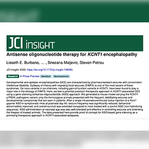 ASO Therapies Show Promise for KCNT1
